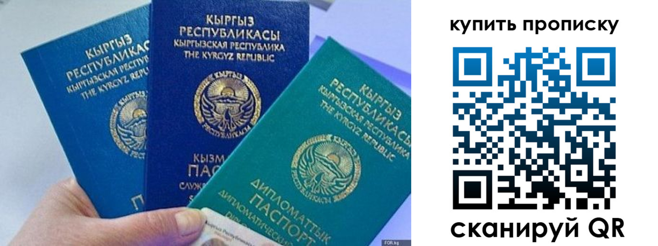 прописка ребенка в Всеволожске